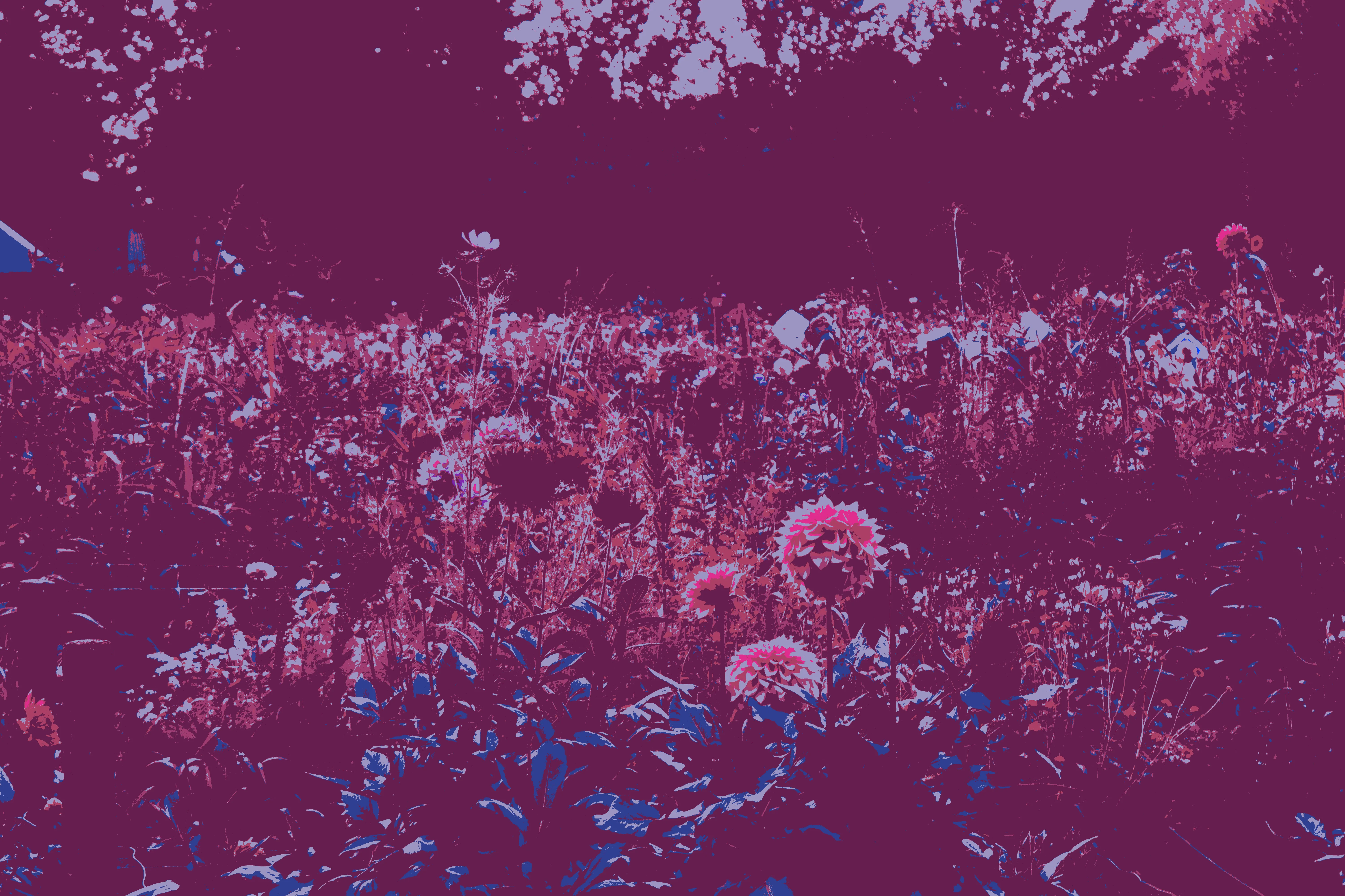 Demo 3 - custom palette 1