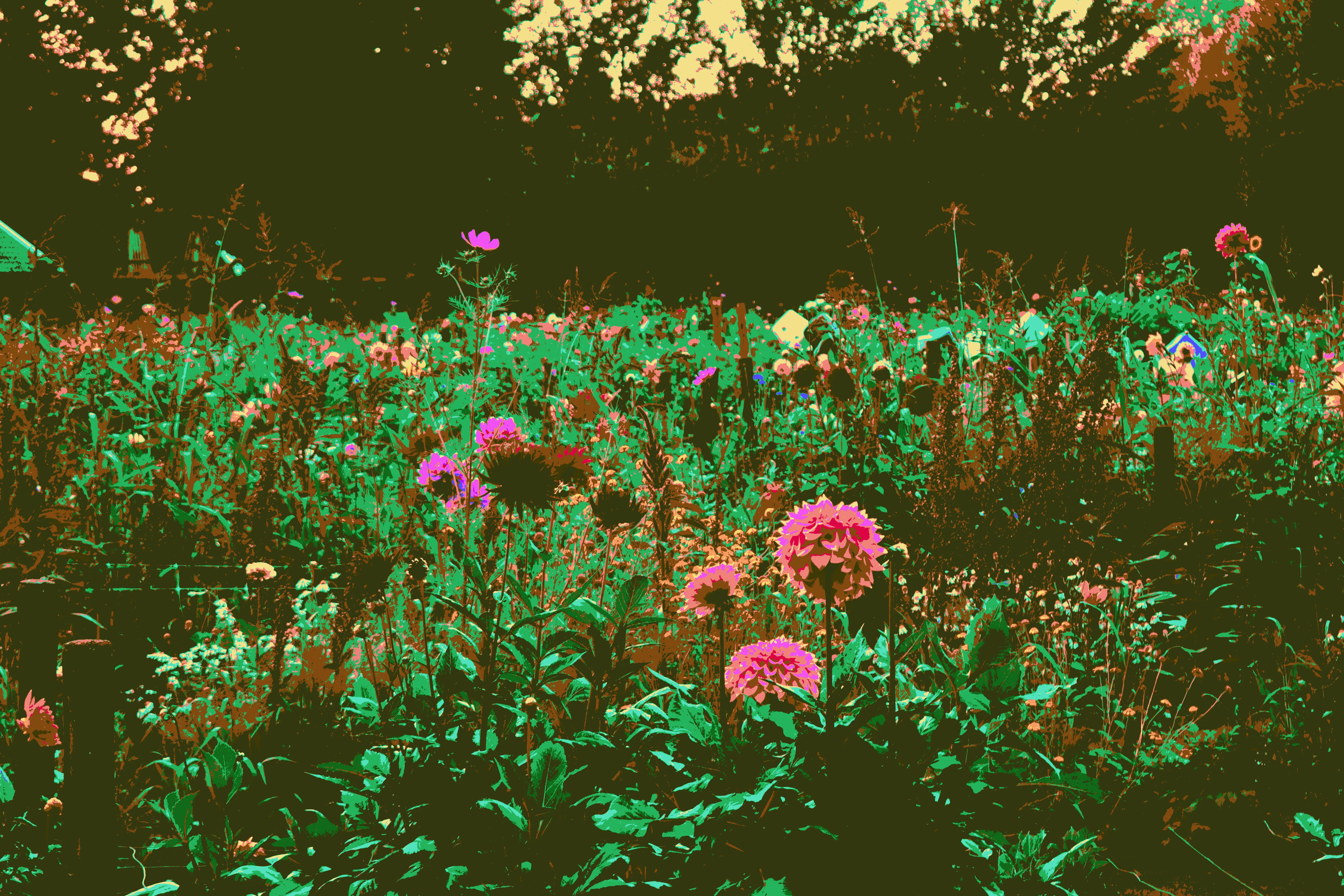 Demo 3 - custom palette 2