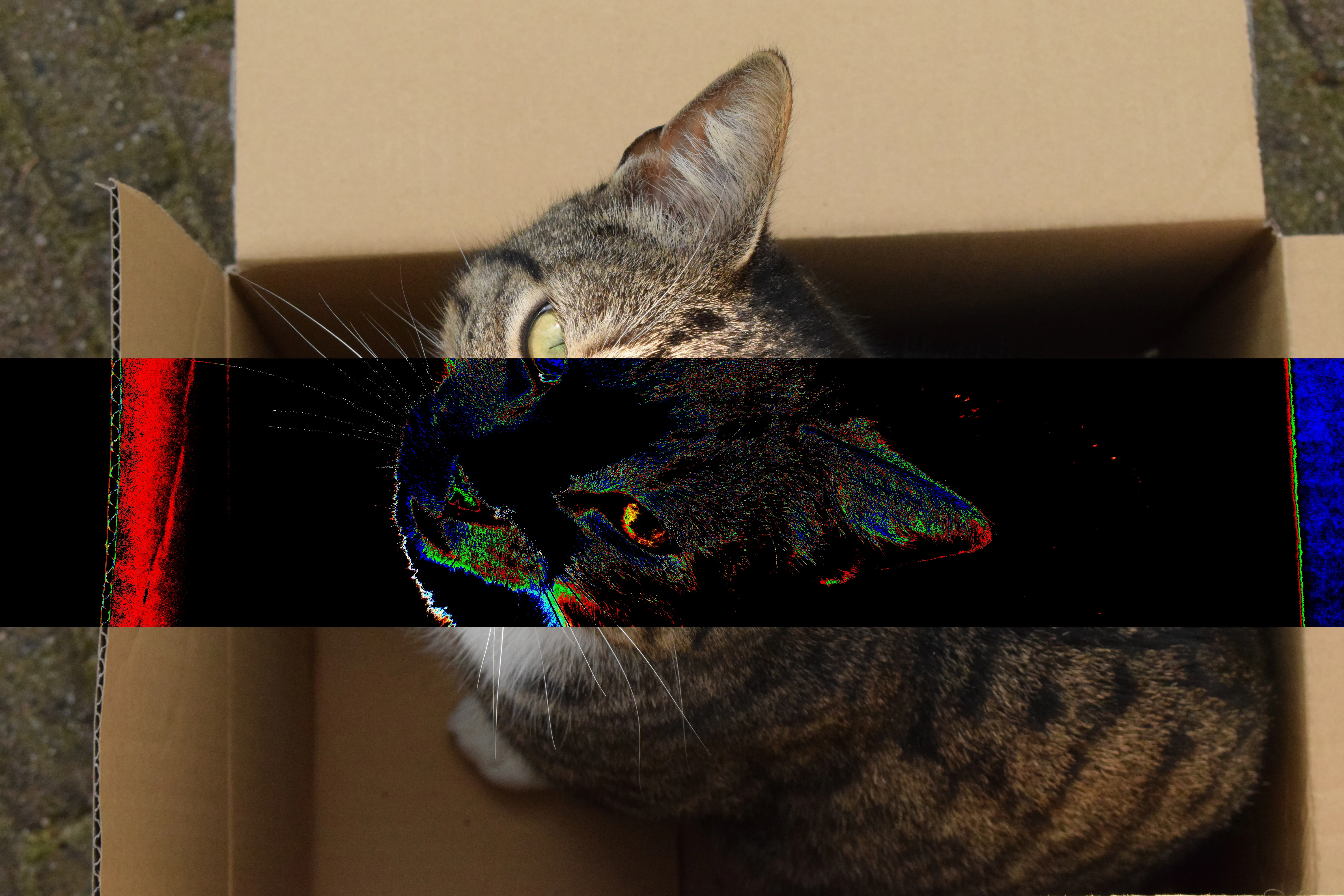 Demo 4 - manual chunk mode