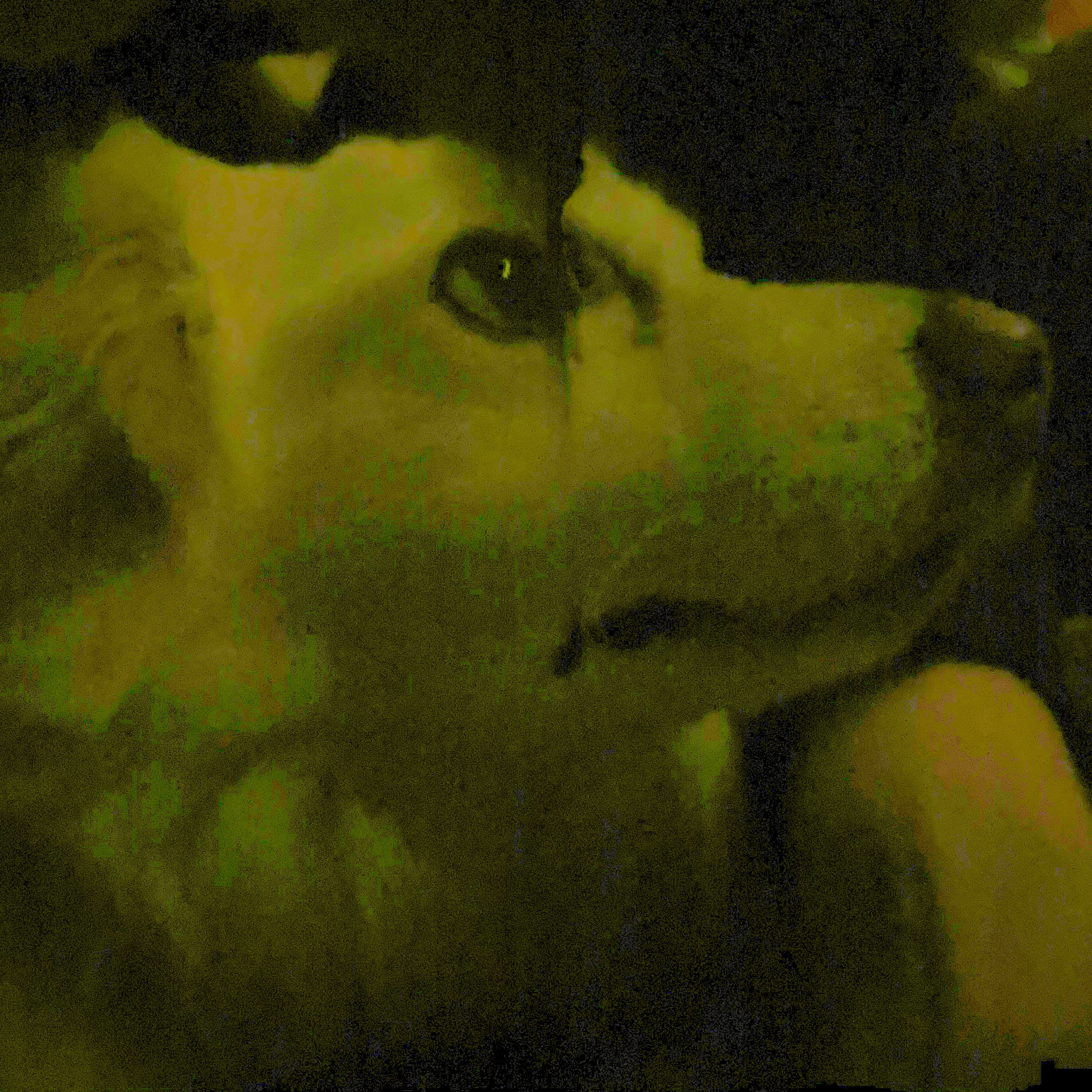 Jupiter II+ (or Jupiter II (alt master 2025)) placeholder cover