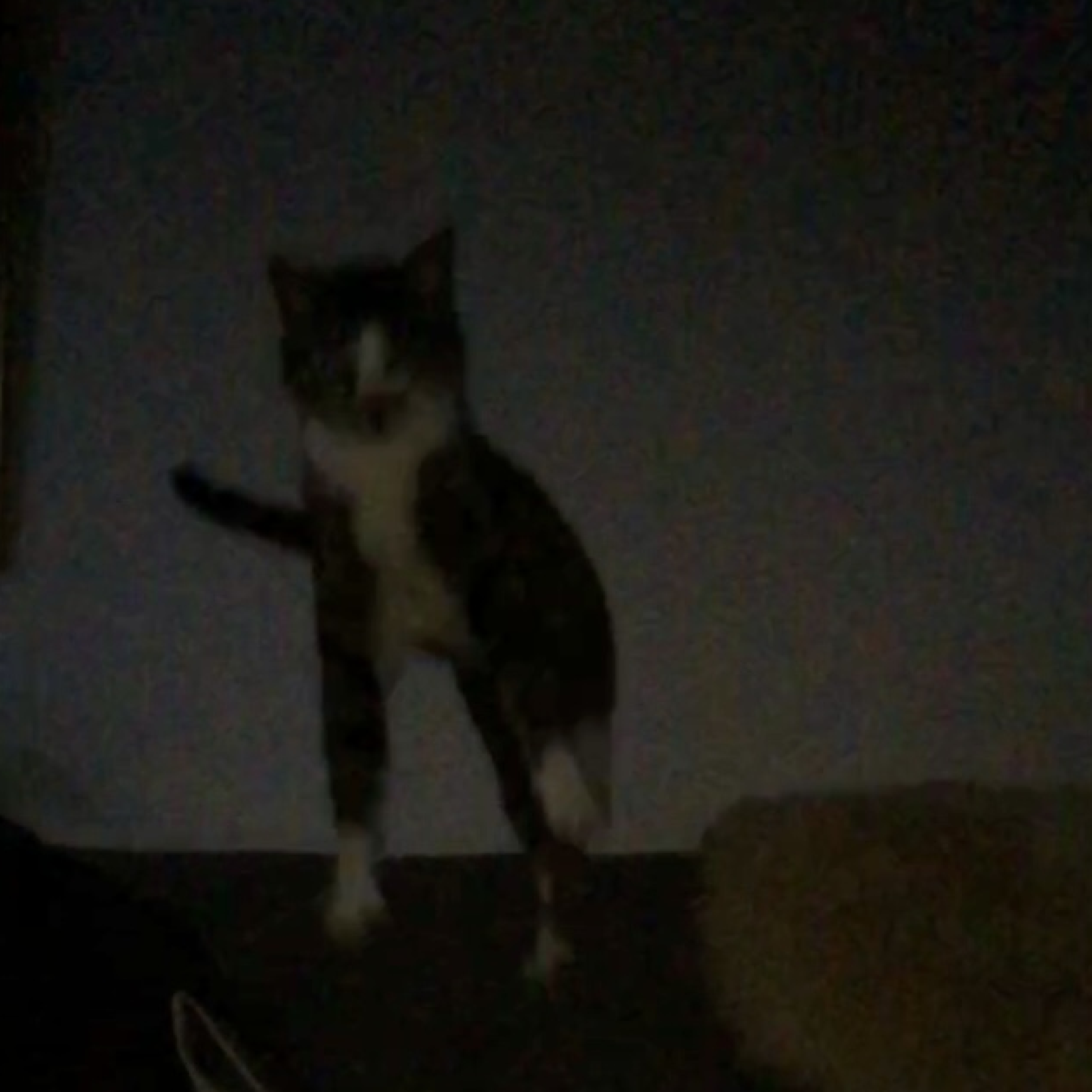 Sleeper Angel Heaven Orbit Mother cover